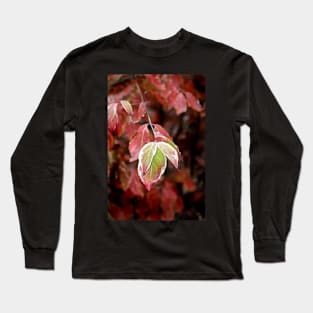 November Dogwood Long Sleeve T-Shirt